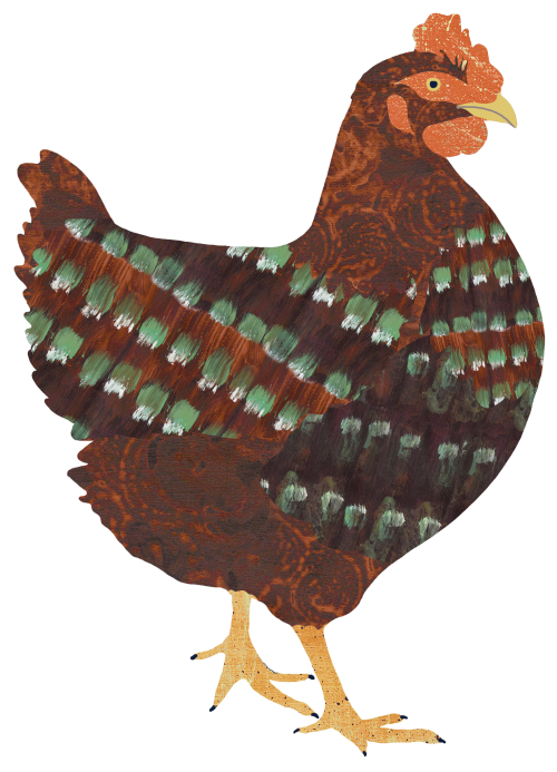 Illustration of a brown chicken by Jess Knights