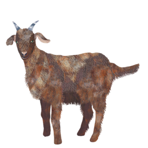 Illustration of a brown goat by Jess Knights