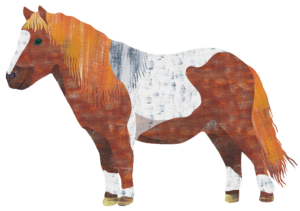 Illustration of a brown and white pony by Jess Knights
