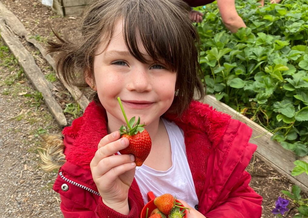 strawbsgracie-1