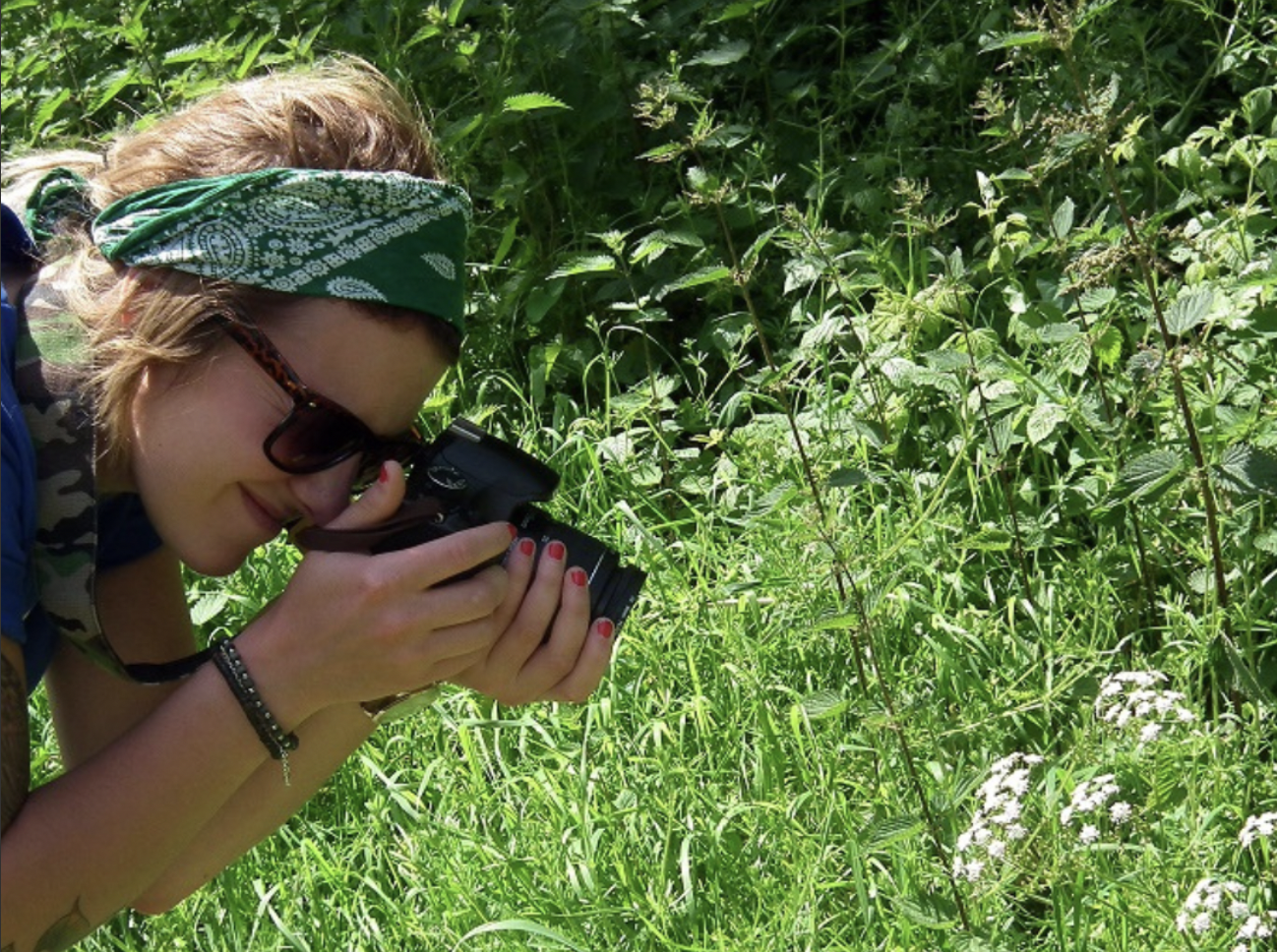 The Festival of Nature at Bath City Farm