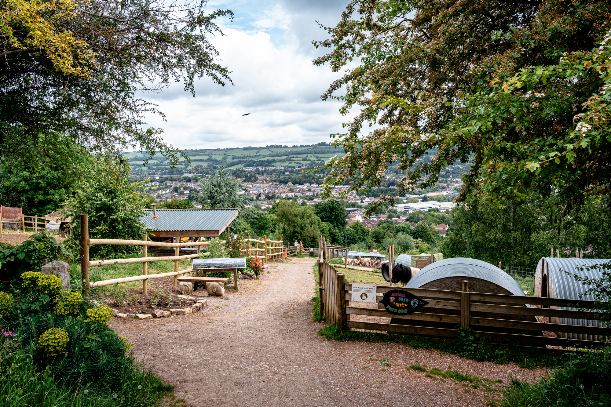 Join us on the farm and in the café on Sundays!