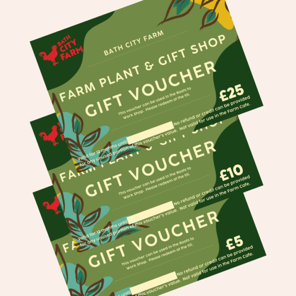Plant and Gift Shop Voucher