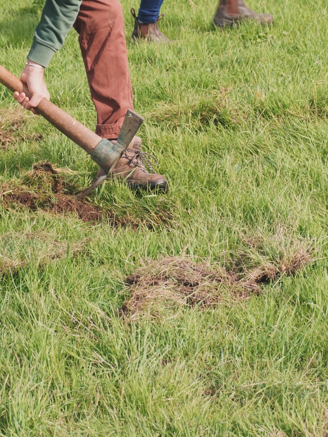 Work Experience at the Farm