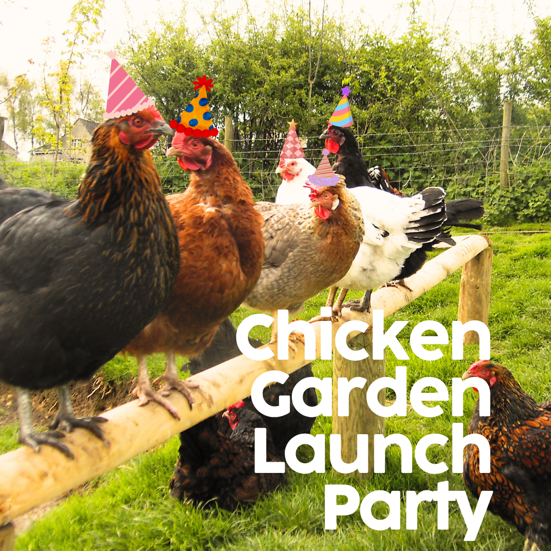 Chicken Garden Launch Party